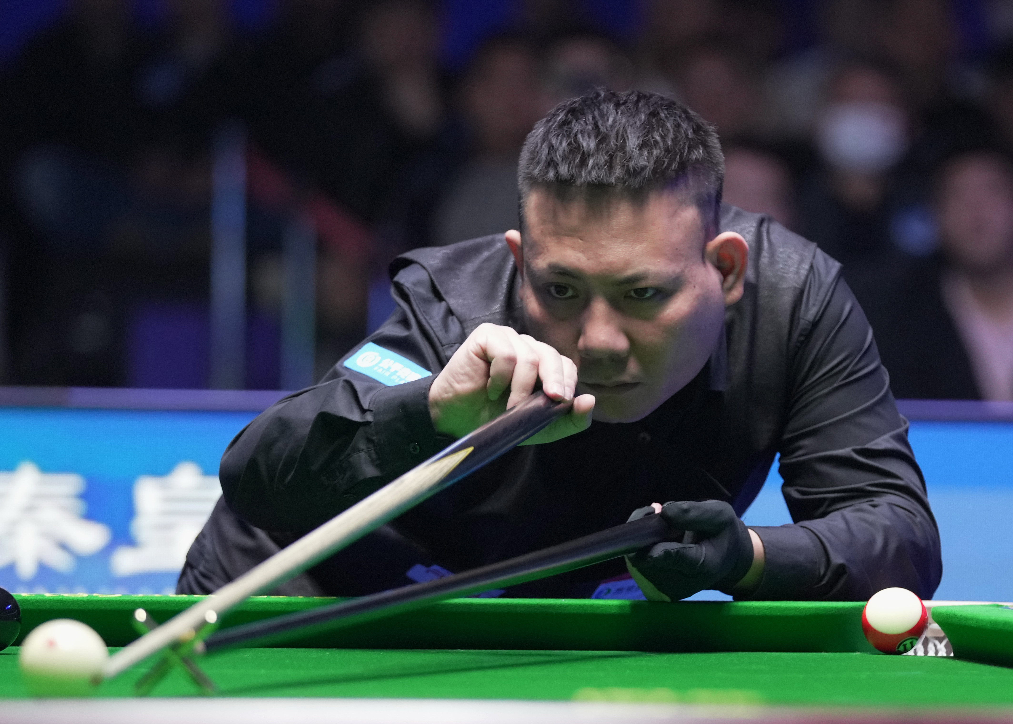 这种态度帮 这种态度帮