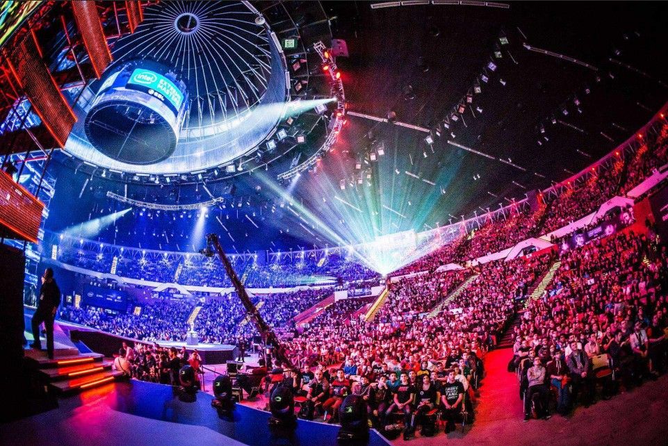 我国泳队逐 我国泳队逐